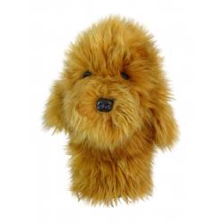 Daphnes Goldendoodle HybridUtilitycover