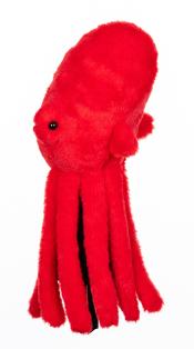 Daphne's Krake (Octopus) Headcover