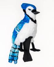 Daphne's Eichelhäher (Blue Jay) Headcover