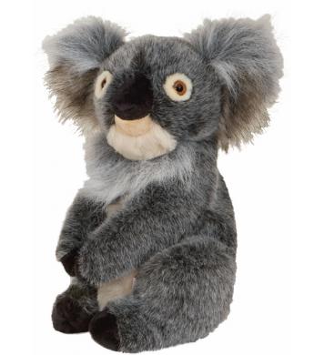 Daphne's Koala Headcover