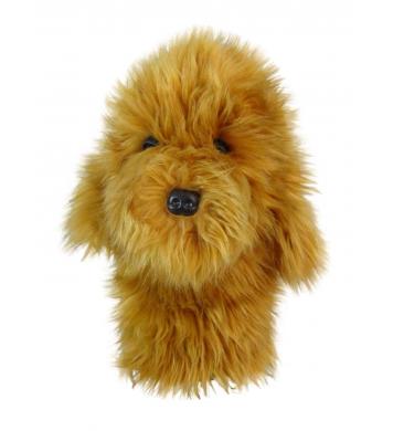 Daphne's Goldendoodle Hybrid/Utilitycover