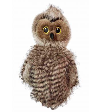 Daphne's Eule Hybrid/Utilitycover